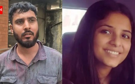 'Stabbed her 40 times': 25-year-old engineer kills twin sister, attacks mother after argument over break-up with girlfriend