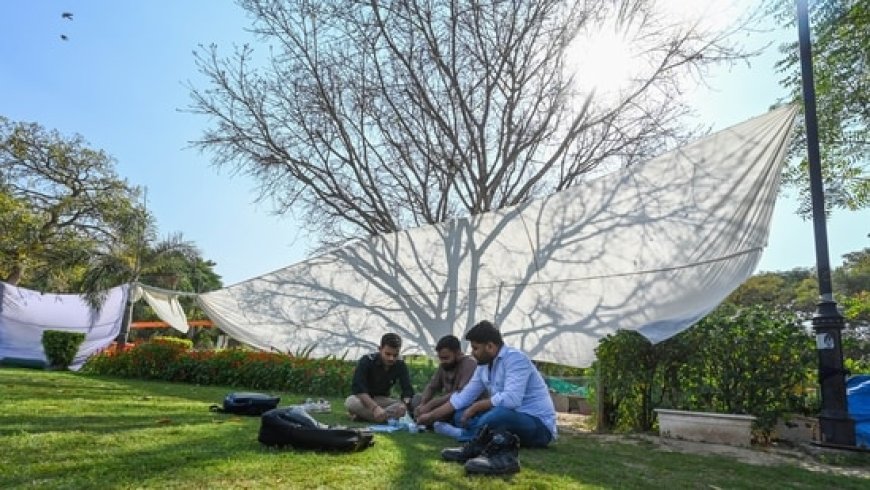 Delhi Heads into Summers with Hottest March Week in 50 Years, Mercury Up in North India